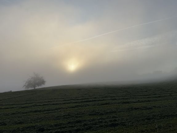 Herbstwanderung 5. / 6. Klassen