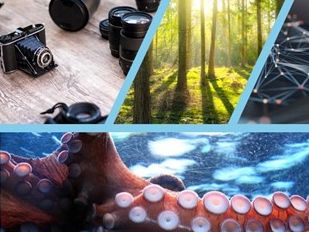 Projektwoche Schule Nottwil - 18.-22. Mai 2026